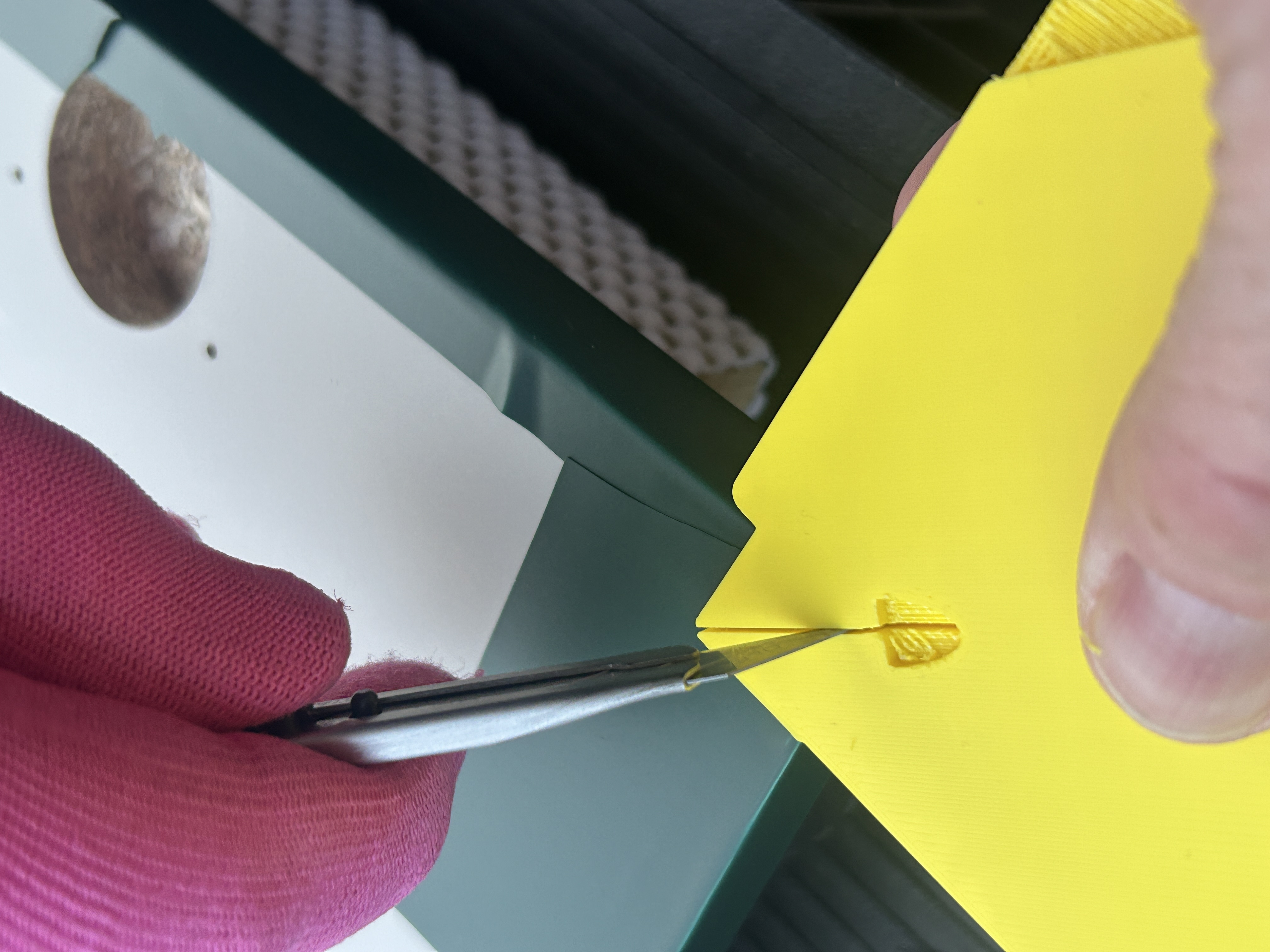 Vinyl color samples being demonstrated with pink gloved hands